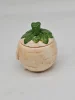 Ceramiczny pojemnik ręcznie robiony – uroczy warzywniak z uśmiechem, 12 cm