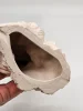 Duża Figura Płomykówka Sowa Beżowy Odlew Skrzydła Drewno 29 cm