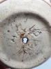 Zestaw dwóch osłonek ceramicznych vintage – motyw kwiatowy